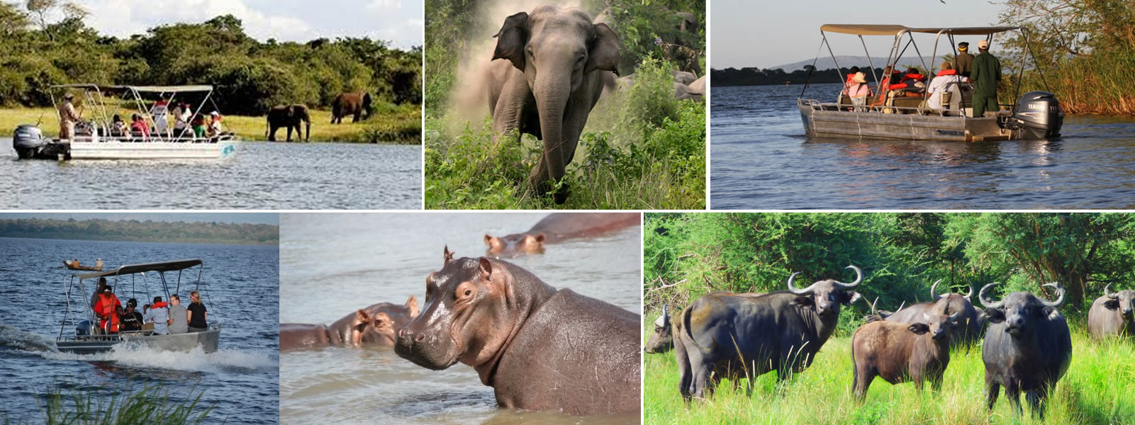 3 Days Akagera and Umva Muhazi - Tourism package at B&P Ever Retreat Rwanda