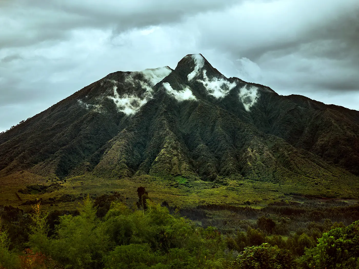 Mountain Gorilla Adventure - Tourism package at B&P Ever Retreat Rwanda