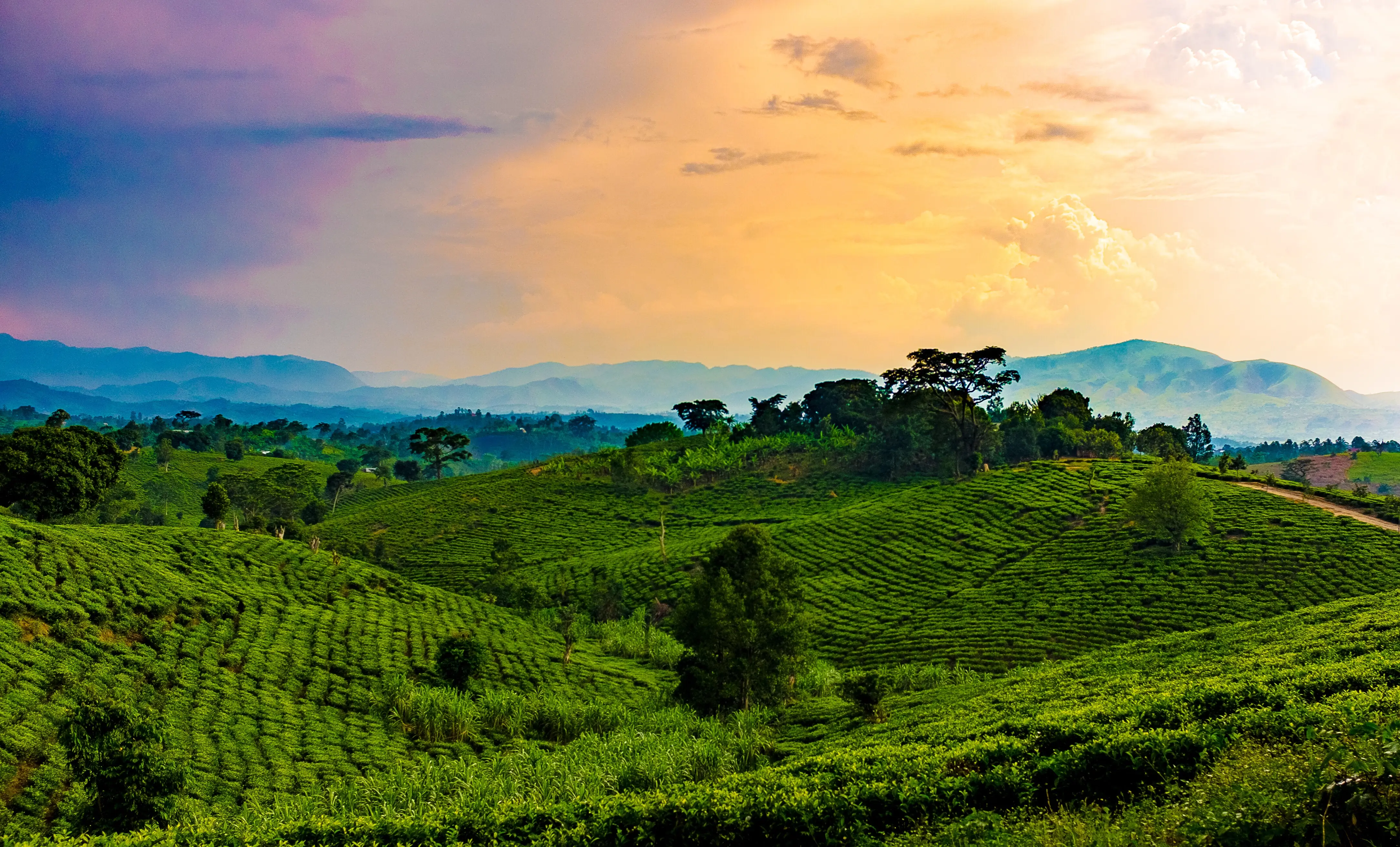 5 Days Exploring Landscapes of Rwanda - Tourism package at B&P Ever Retreat Rwanda