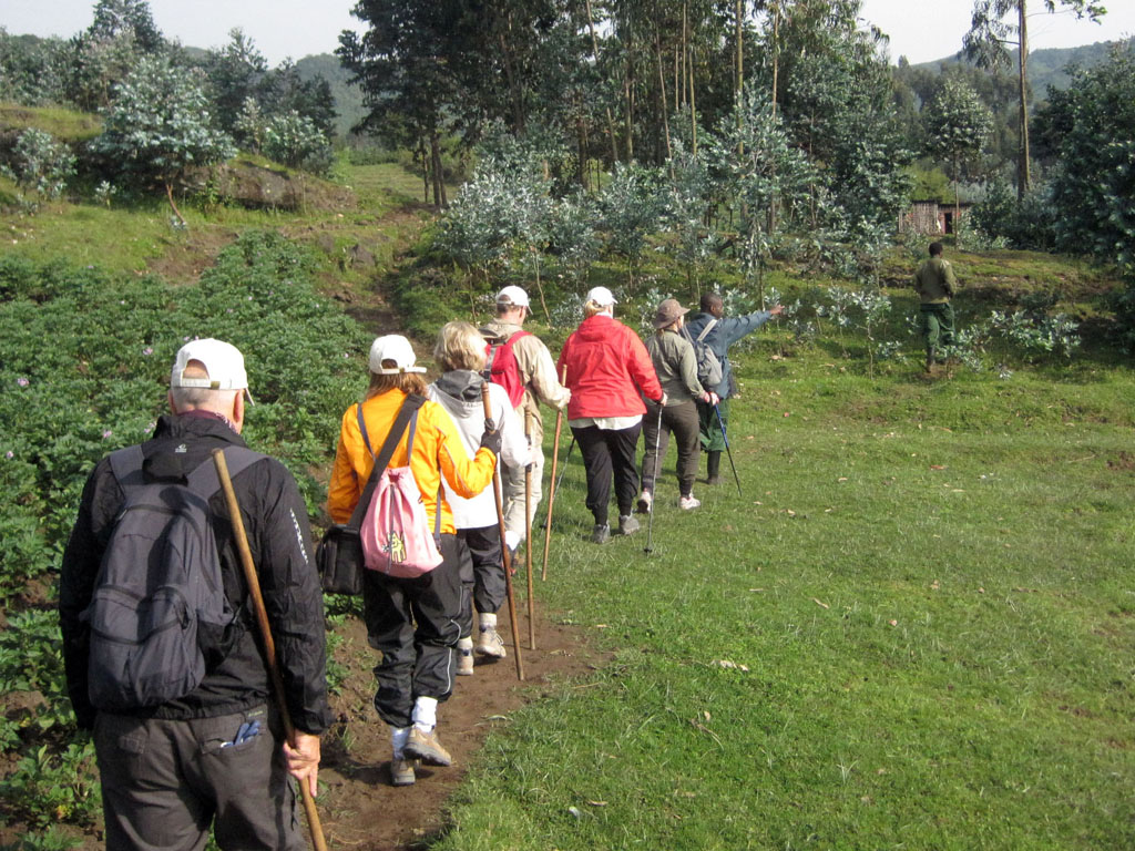 6 Days hiking Experience - Tourism package at B&P Ever Retreat Rwanda