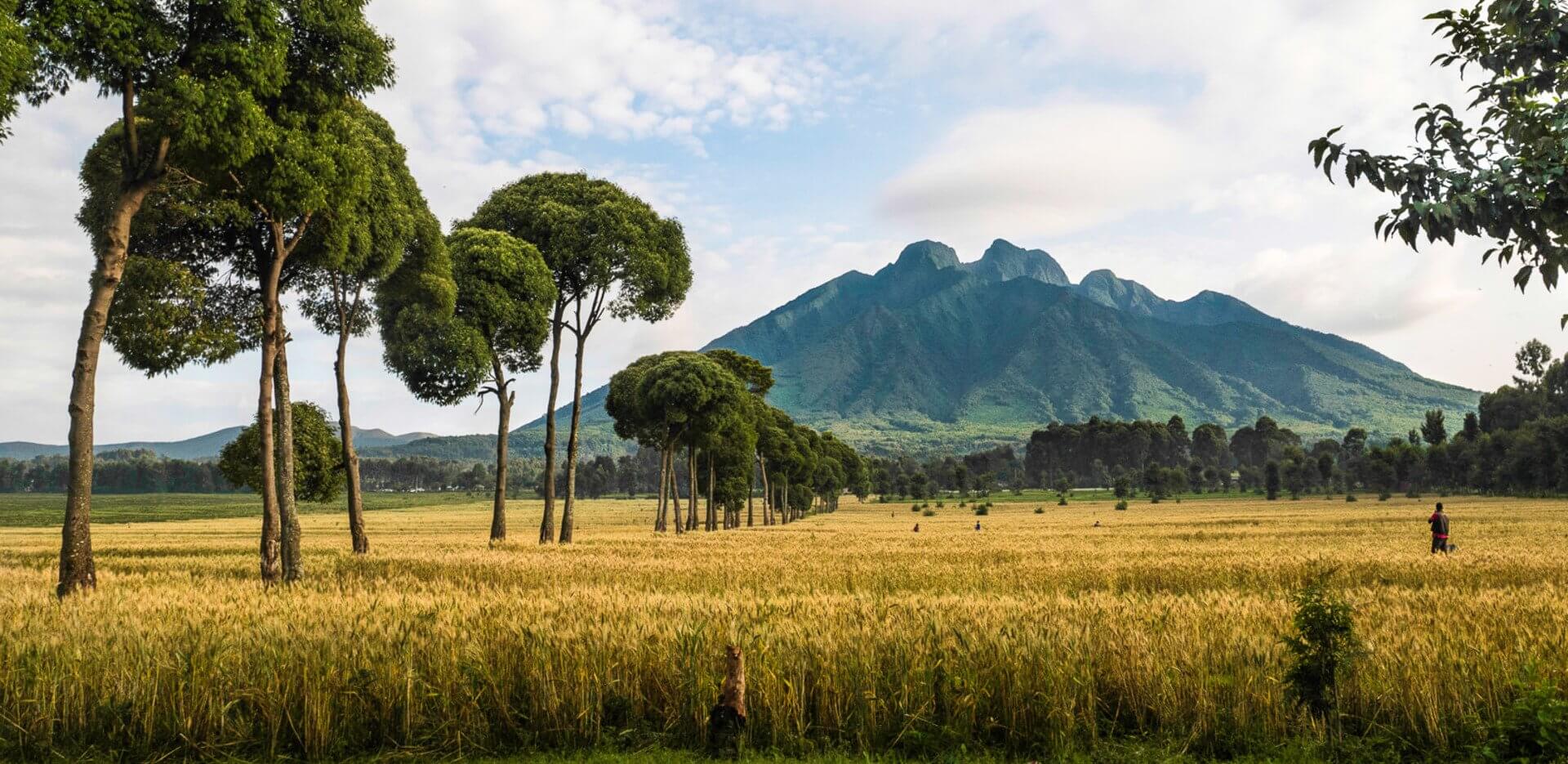 Musanze - Scenic luxury villa at B&P Ever Retreat Rwanda - everretreat.com