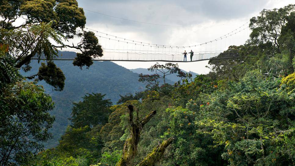 Nyungwe - Scenic luxury villa at B&P Ever Retreat Rwanda - everretreat.com
