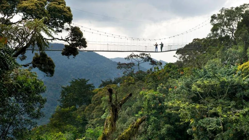 Nyungwe - Scenic luxury villa hotel and Rwanda tourism destination at B&P Ever Retreat - everretreat.com